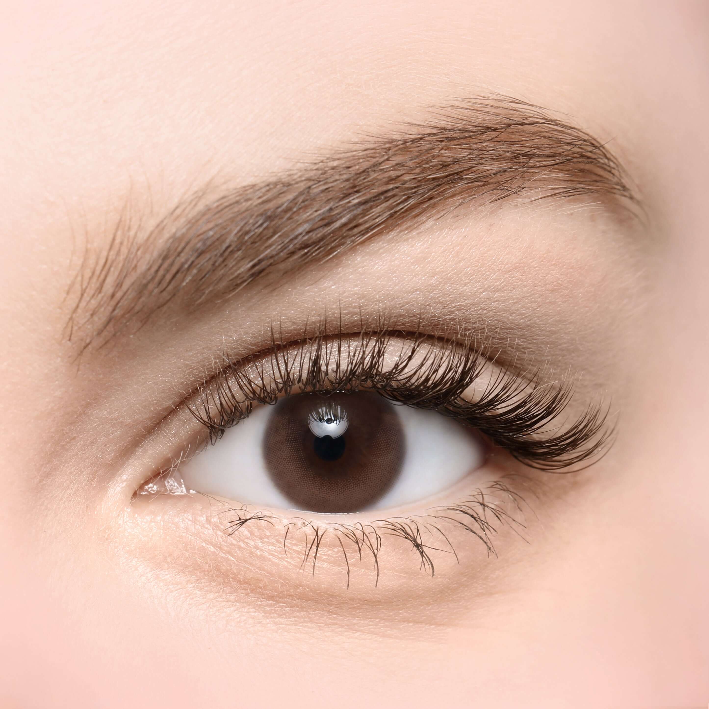 Skin Dark Brown.