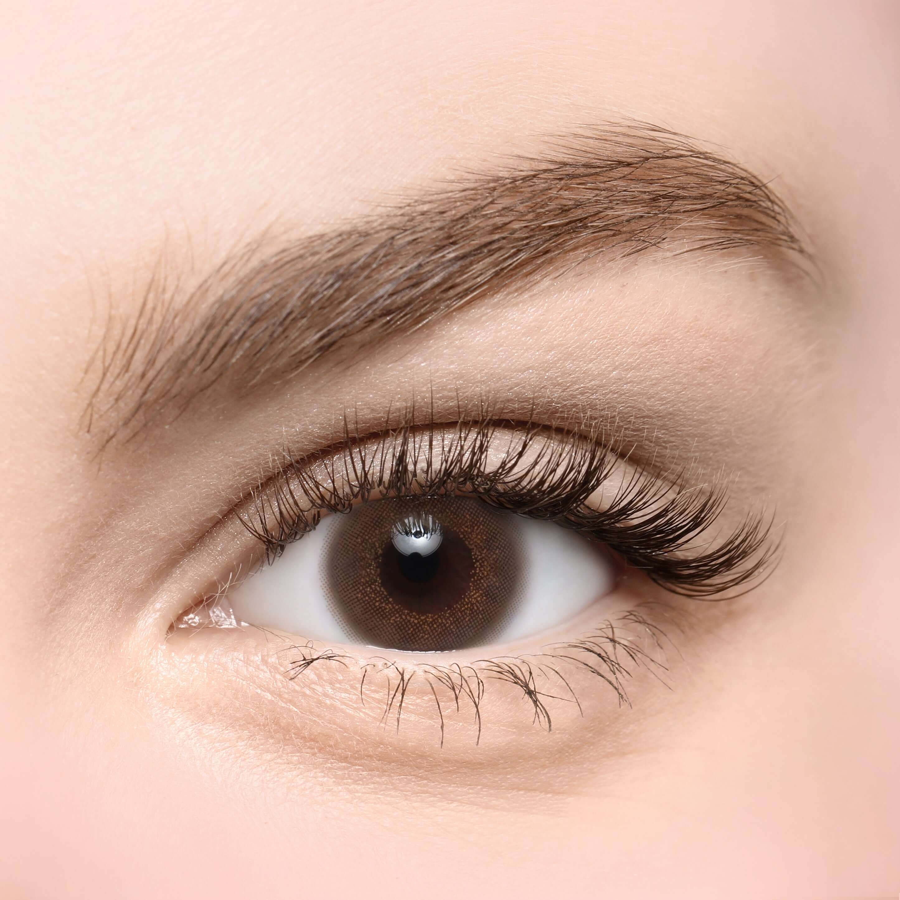 Close-up of an eye wearing Bambi Brown toric contact lens, showcasing transparent brown color and natural blending effect.